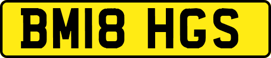 BM18HGS