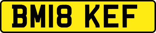 BM18KEF