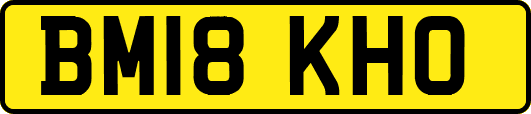 BM18KHO