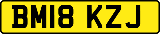 BM18KZJ