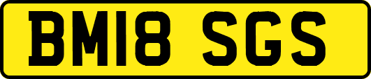 BM18SGS
