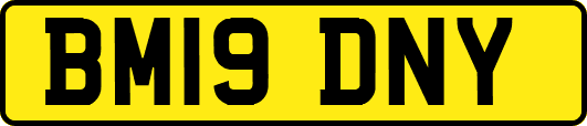 BM19DNY