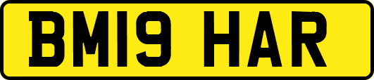 BM19HAR