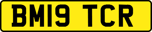 BM19TCR