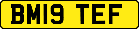 BM19TEF