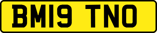 BM19TNO