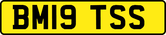 BM19TSS