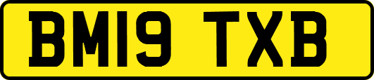 BM19TXB