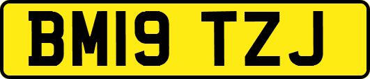 BM19TZJ