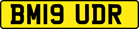 BM19UDR