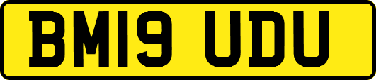 BM19UDU