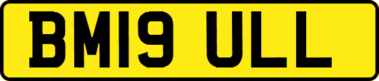 BM19ULL