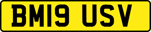 BM19USV