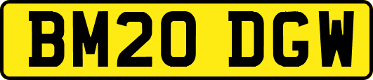 BM20DGW