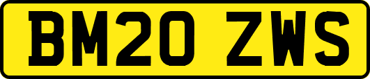 BM20ZWS