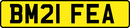 BM21FEA