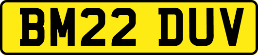 BM22DUV