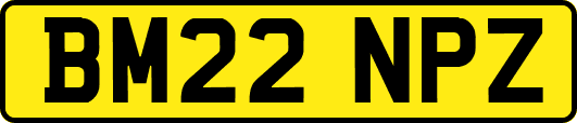 BM22NPZ