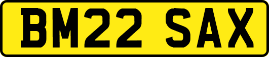 BM22SAX