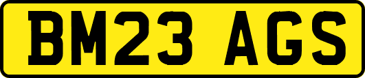 BM23AGS