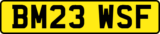 BM23WSF