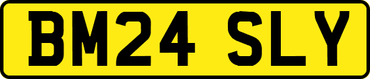 BM24SLY