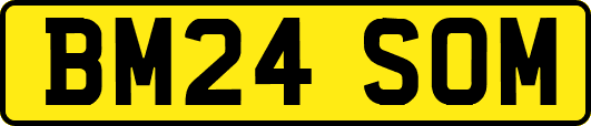 BM24SOM