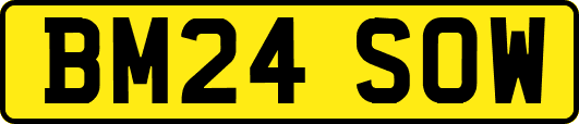 BM24SOW