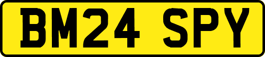 BM24SPY