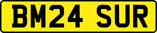 BM24SUR