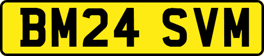 BM24SVM