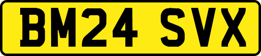 BM24SVX
