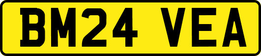 BM24VEA