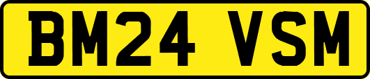 BM24VSM