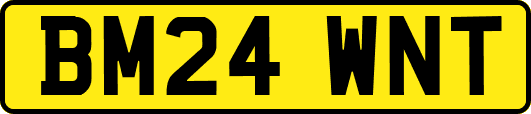BM24WNT