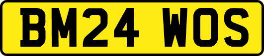 BM24WOS