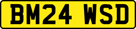 BM24WSD