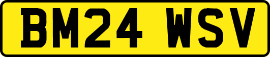 BM24WSV