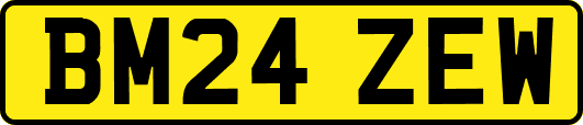 BM24ZEW