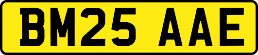 BM25AAE