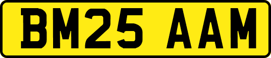 BM25AAM
