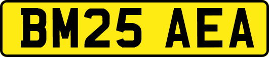 BM25AEA