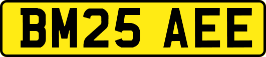 BM25AEE