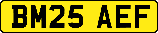 BM25AEF