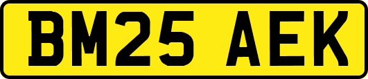 BM25AEK