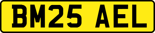 BM25AEL