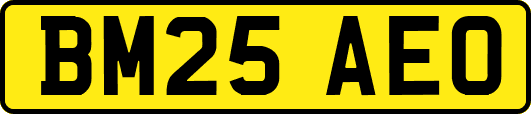 BM25AEO