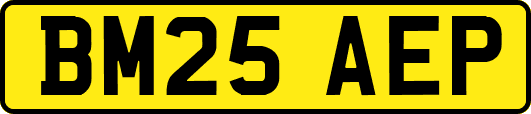 BM25AEP