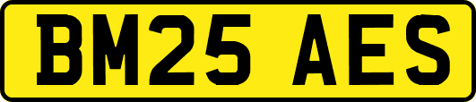 BM25AES