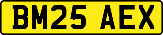 BM25AEX